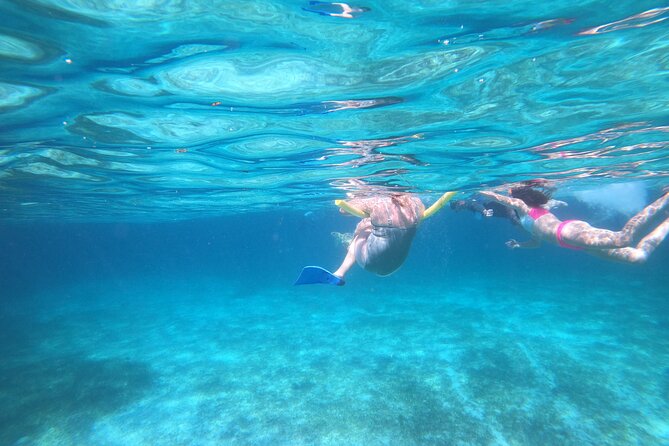 Rose Island Adventure: Turtle Swim and Snorkel - Who should book the Rose Island Adventure?
