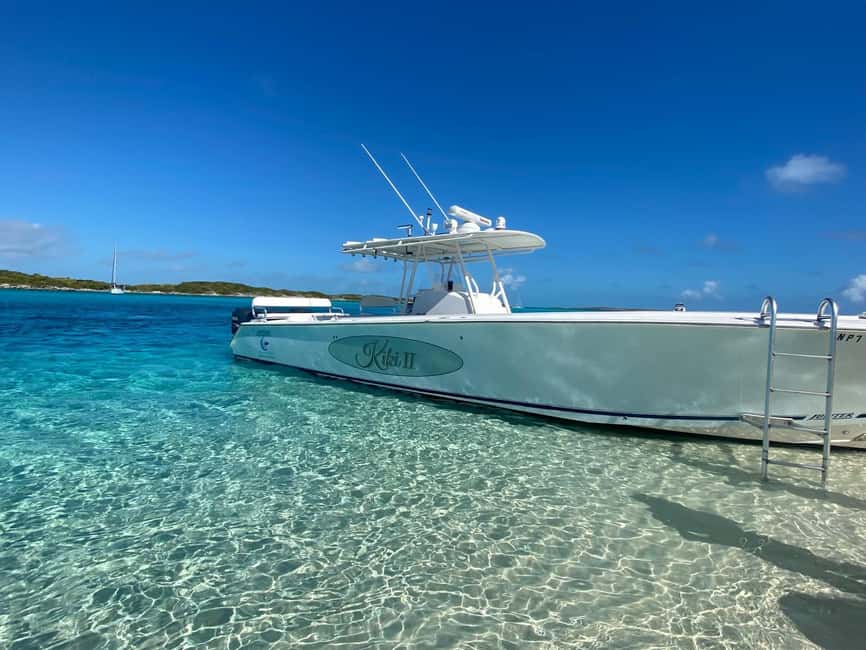 Rose Island: Pig Beach, Snorkeling, Sea Turtles, Beach - Who will enjoy this outing most?