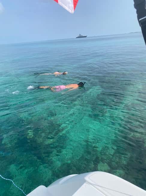 Rose Island: Pig Beach, Snorkeling, Sea Turtles, Beach - Coral reef snorkeling and fish watching