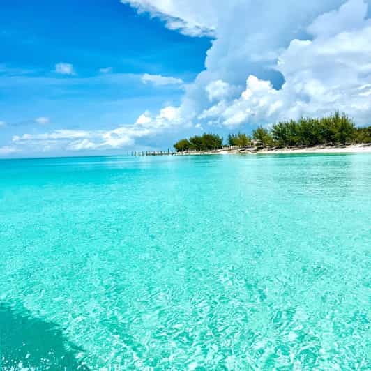 Rose Island: Pig Beach, Snorkeling, Sea Turtles, Beach - The optional pig encounter