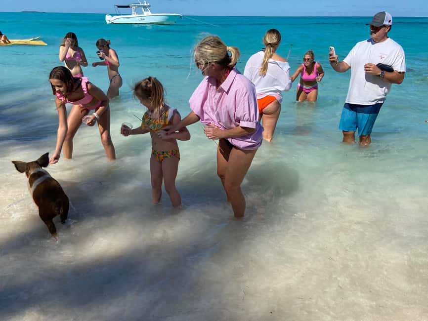 Rose Island: Pig Beach, Snorkeling, Sea Turtles, Beach - Is $1,800 a fair price?