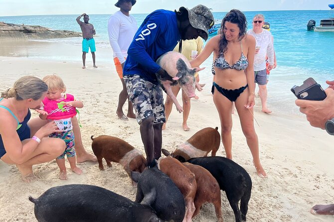 Rose Island Private Beach: Swimming with the Pigs - What this Rose Island boat trip is really like