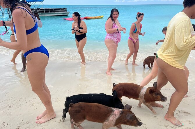 Rose Island Private Beach: Swimming with the Pigs - Arriving at the private 007 Beach Club