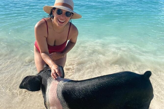 Rose Island Private Beach: Swimming with the Pigs - Lunch, rum drinks, and time to relax