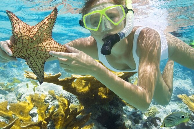 Rose Island Private Beach: Swimming with the Pigs - The small problems that can affect your day