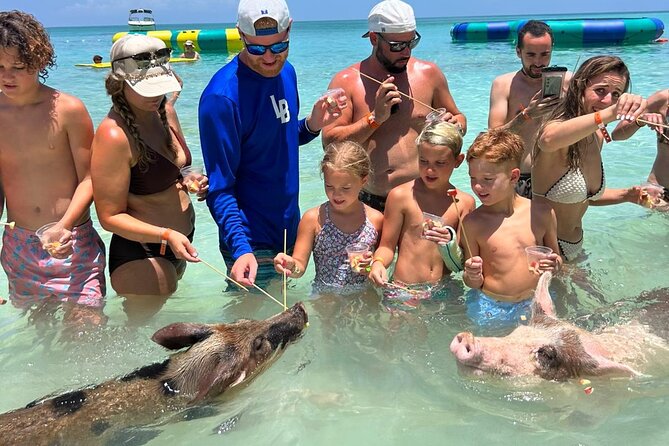 Rose Island Private Beach: Swimming with the Pigs - The speedboat ride from Nassau