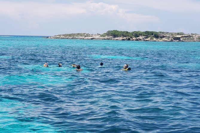 Rose Island: Private Snorkeling, Fishing, and Swimming with Pigs - Rose Island beaches and a slower half-day pace