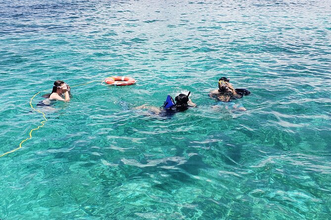 Rose Island: Private Snorkeling, Fishing, and Swimming with Pigs - Fishing around Rose Island and Paradise Island