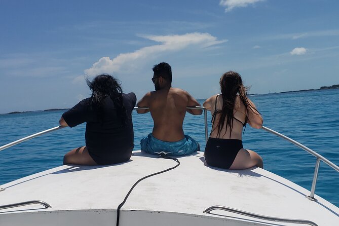 Rose Island: Private Snorkeling, Fishing, and Swimming with Pigs - Why the private format matters