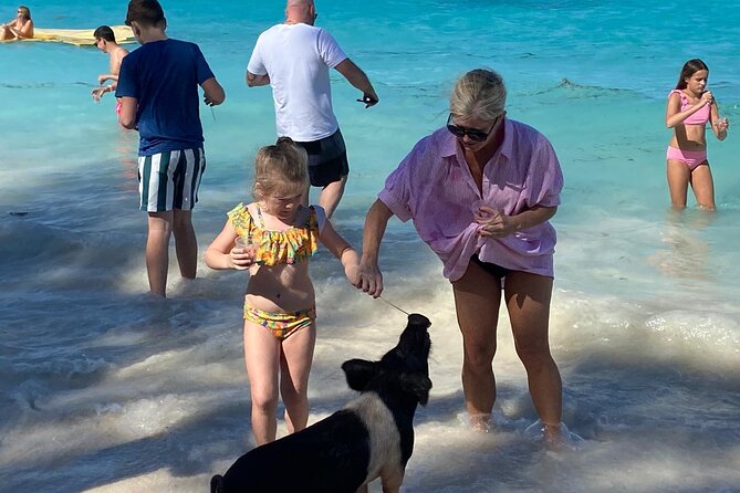 Rose Island Swimming Pigs - Practical Details Before You Book