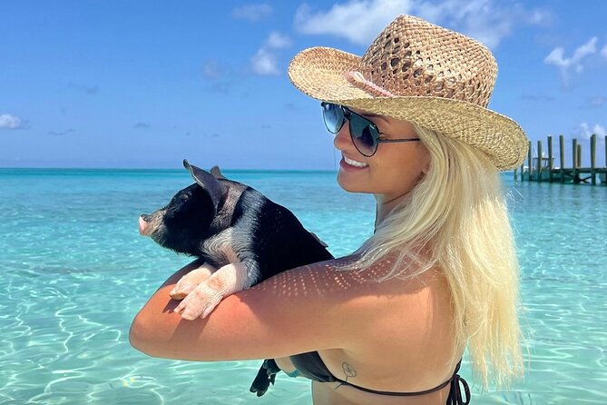 Rose Island Swimming Pigs & Beach Snorkeling Experience Nassau - Key points to know before you book