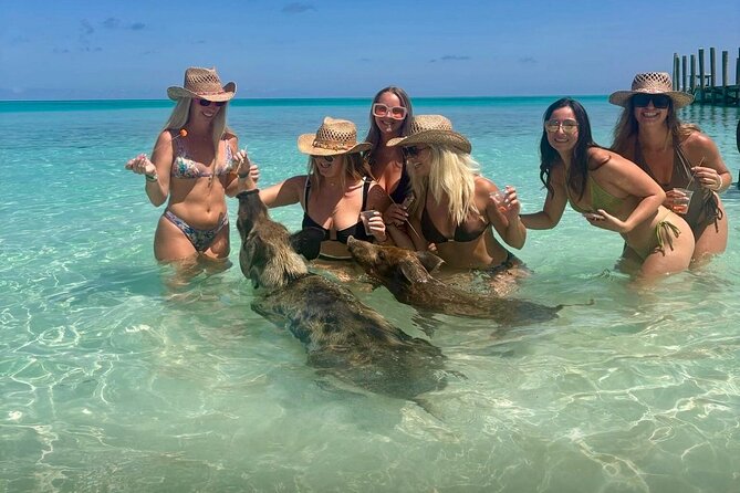 Rose Island Swimming Pigs & Beach Snorkeling Experience Nassau - Snorkeling from the beach, with gear provided