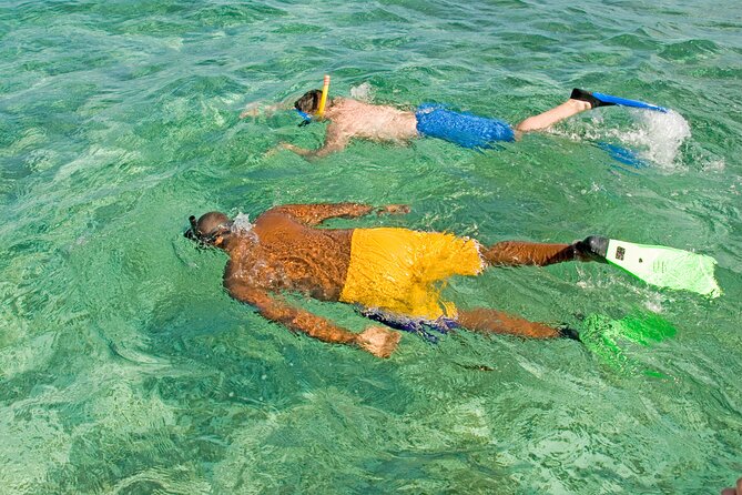 Rose Island Swimming Pigs & Beach Snorkeling Experience Nassau - Kayaking and beach time fill the gaps