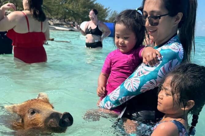 Rose Island Swimming Pigs & Beach Snorkeling Experience Nassau - Who will enjoy this Rose Island outing most?