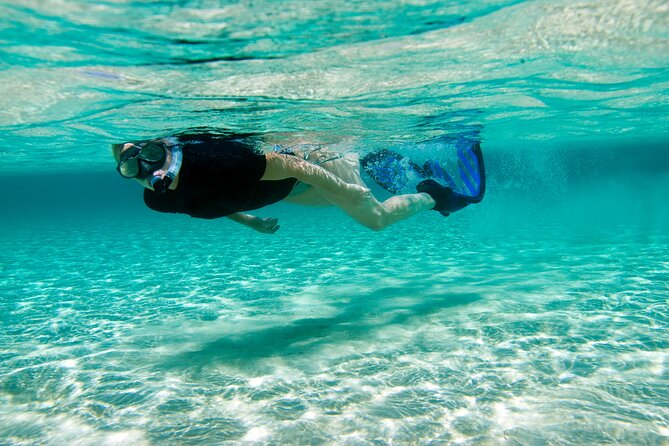 Rose Island Swimming Pigs & Beach Snorkeling Experience Nassau - Practical planning for the day
