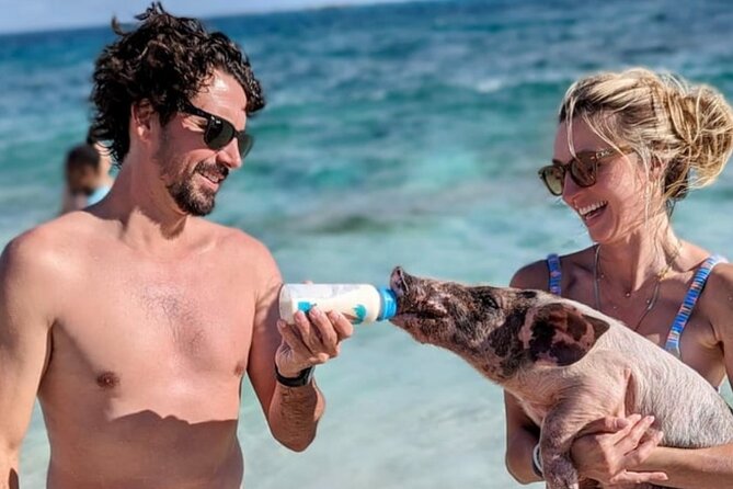 Rose Island Swimming Pigs & Beach Snorkeling Experience Nassau. - What to bring and how to plan your day