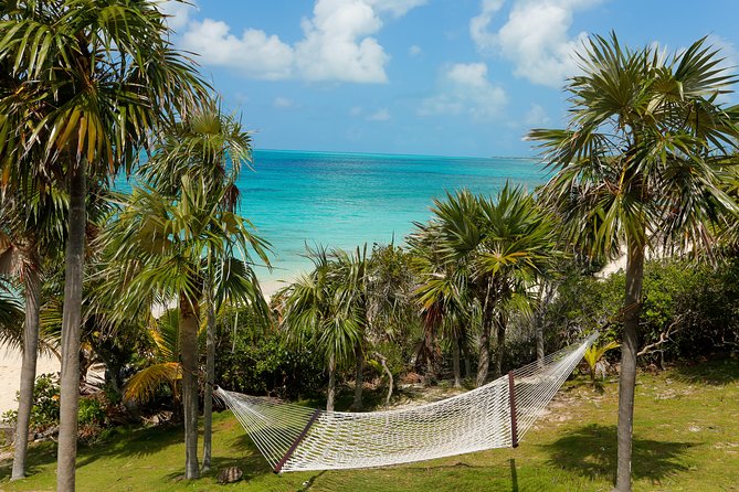 Sandy Toes The Original Rose Island and Swimming Pigs Tour - How much value do you get for $258?