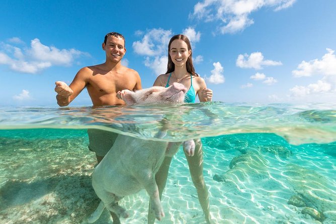 Sandy Toes The Original Rose Island and Swimming Pigs Tour - Who will enjoy Sandy Toes most?