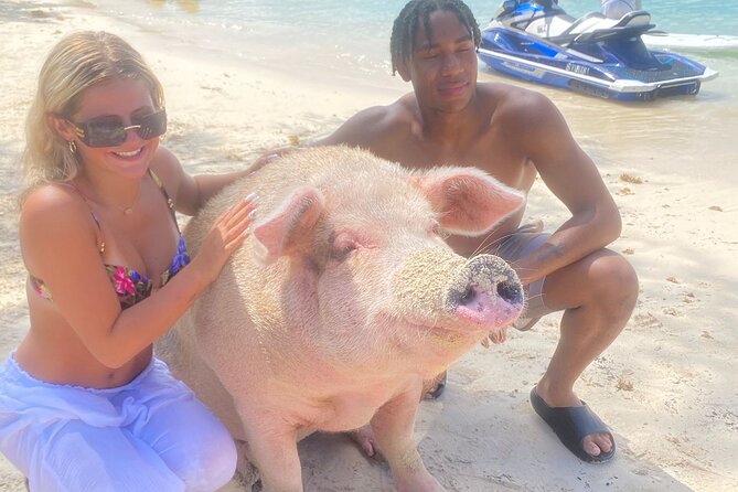 Self Drive Speedboat and Swim with the Pigs - Wind, Safety, and Comfort on the Ride