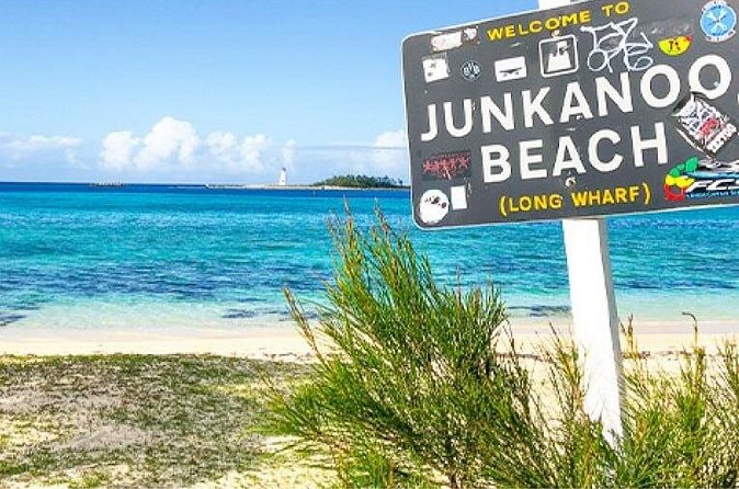 Sightseeing Island Tours Nassau Bahamas Paradise Island - Comfort in the black Honda seven-seater