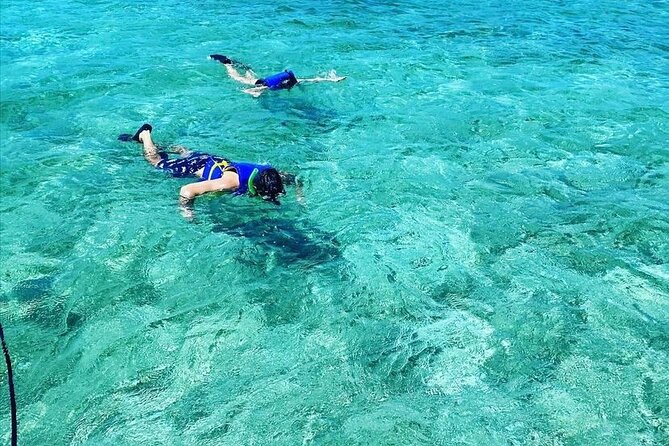 Small-Group Snorkeling Experience at Sea Garden - Leaving Blue Finn Charters through Nassau Harbor