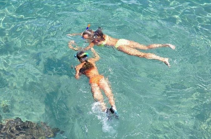 Small-Group Snorkeling Experience at Sea Garden - What the snorkeling portion is really like