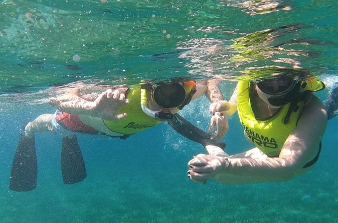 Small-Group Snorkeling Experience at Sea Garden - Crew service and weather changes