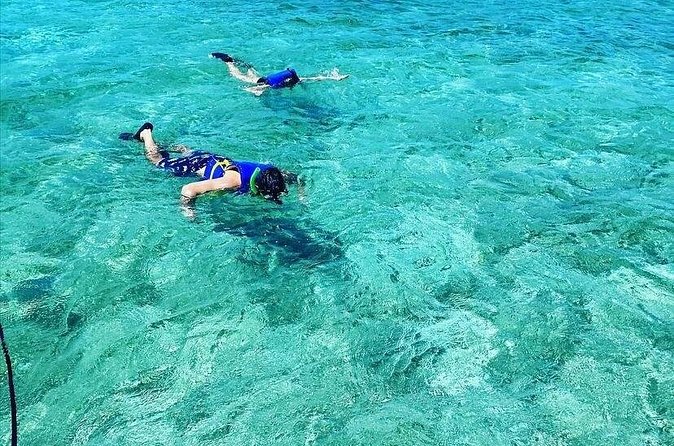 Small-Group Snorkeling Experience at Sea Garden - Reaching the Sea Garden Conservation area