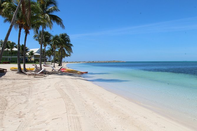 Snorkel/Swim with the Turtles Experience - Brewery and rum stops add flavor after the water