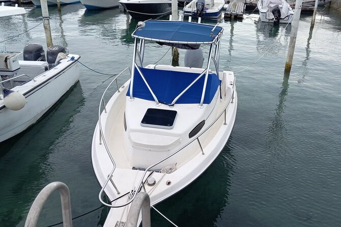 Snorkeling, Swim with Turtles & Beach Day - Starting at Prince George Wharf and finding your boat