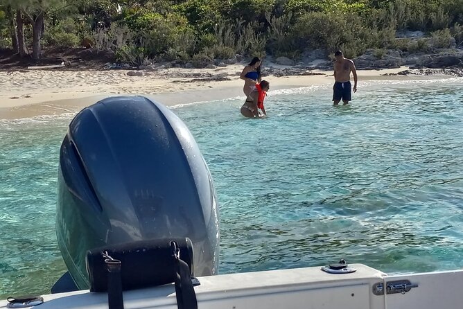 Snorkeling, Swim with Turtles & Beach Day - Snorkeling among turtles and reef life