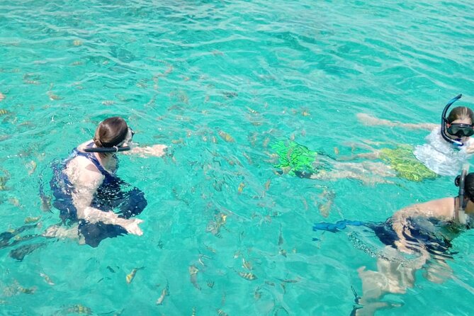 Snorkeling, Swim with Turtles & Beach Day - Rose Island and the extra-cost options