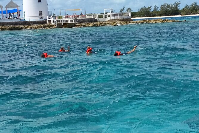 Snorkeling, Swim with Turtles & Beach Day - Price, timing, and what you actually receive