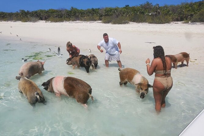 Swim with the Pigs and Explore Caves in Nassau - Exploring the Caves of New Providence