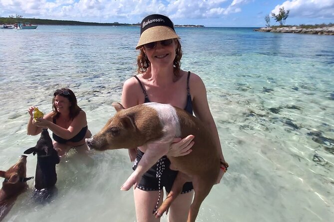 Swim with the Pigs and Explore Caves in Nassau - Lunch and the real value of $299