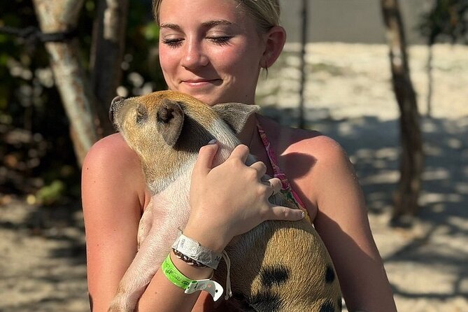 Swim with the Pigs Freeport @Creative Eco Adventures - The pig pen brings you closer