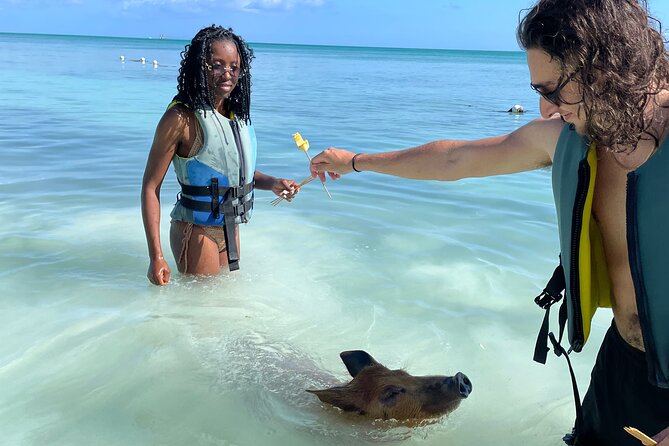 Swim with the Pigs Freeport @Creative Eco Adventures - Who will enjoy this activity most?