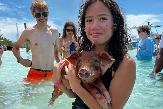 Swim with the Pigs Safari in Bahamas (2hrs) - Who will enjoy this safari most