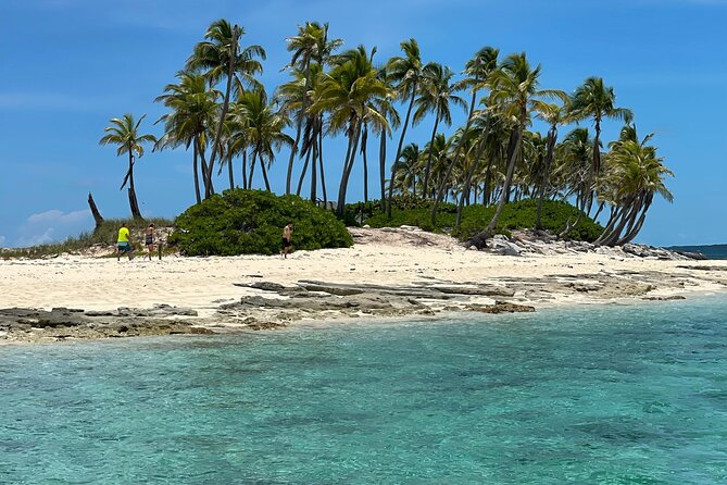 Swim with the Pigs Safari in Bahamas (2hrs) - Cruising through Atlantis from the water