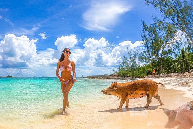 Swimming Pigs and Pearl Island Beach Escape - Lighthouse views and beach time on Pearl Island