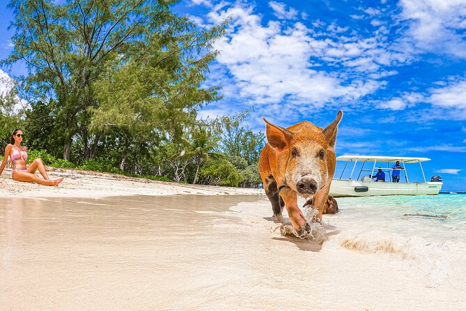 Swimming Pigs and Pearl Island Beach Escape - What to bring for a hotter, easier day