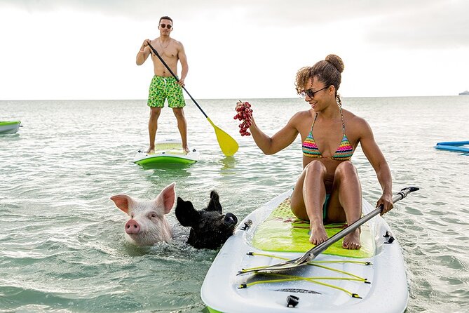 Swimming Pigs & ATV Tour - Key things to know before you book