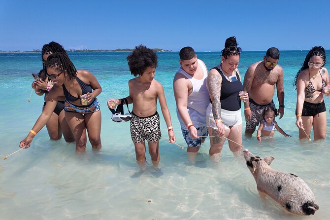 Swimming Pigs, Snorkeling and Beach Tour in Nassau Bahamas - Athol Island and the Pig Beach Visit