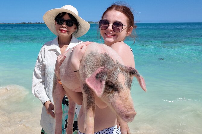 Swimming Pigs, Snorkeling and Beach Tour in Nassau Bahamas - Who Will Enjoy This Nassau Tour Most?