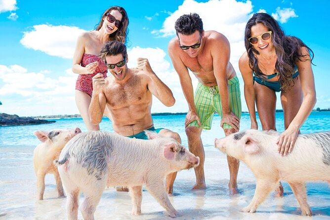 Swimming Pigs, Turtles & Reef Snorkel in Nassau-Champion Tours - Key points to know before booking