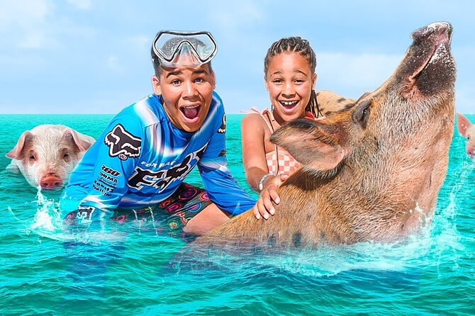 Swimming Pigs, Turtles & Reef Snorkel in Nassau-Champion Tours - A private speedboat day from Nassau