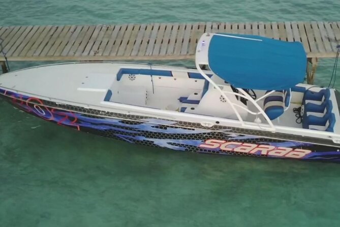 Swimming Pigs, Turtles & Reef Snorkel in Nassau-Champion Tours - Athol Island and the optional swimming pigs