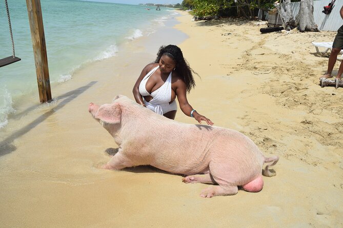 Swimming with Pigs in Nassau, Transportation Included - From your Nassau hotel to Fort Montagu