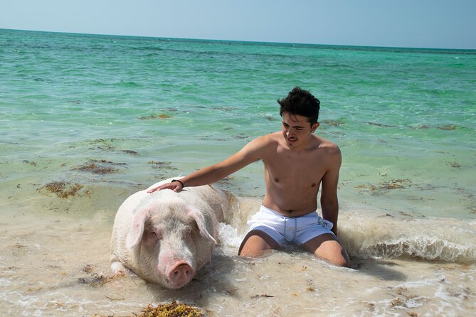 Swimming with Pigs in Nassau, Transportation Included - A cheerful, family-friendly setting