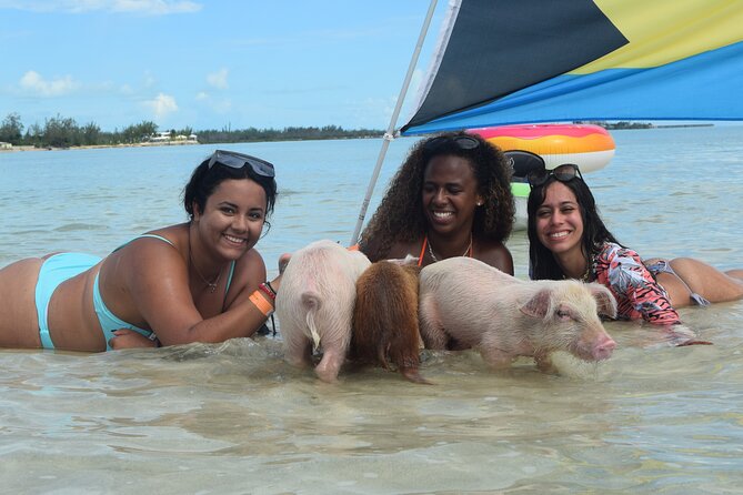 Swimming with Pigs in Nassau, Transportation Included - Lunch, drinks, and what is actually included